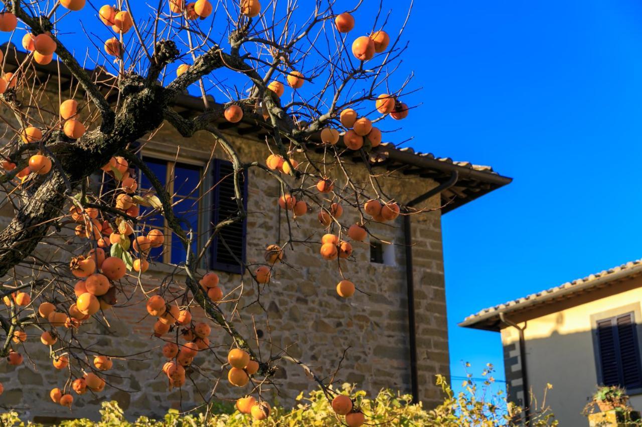 Agriturismo Fattoria Santo Stefano Greve in Chianti Bagian luar foto
