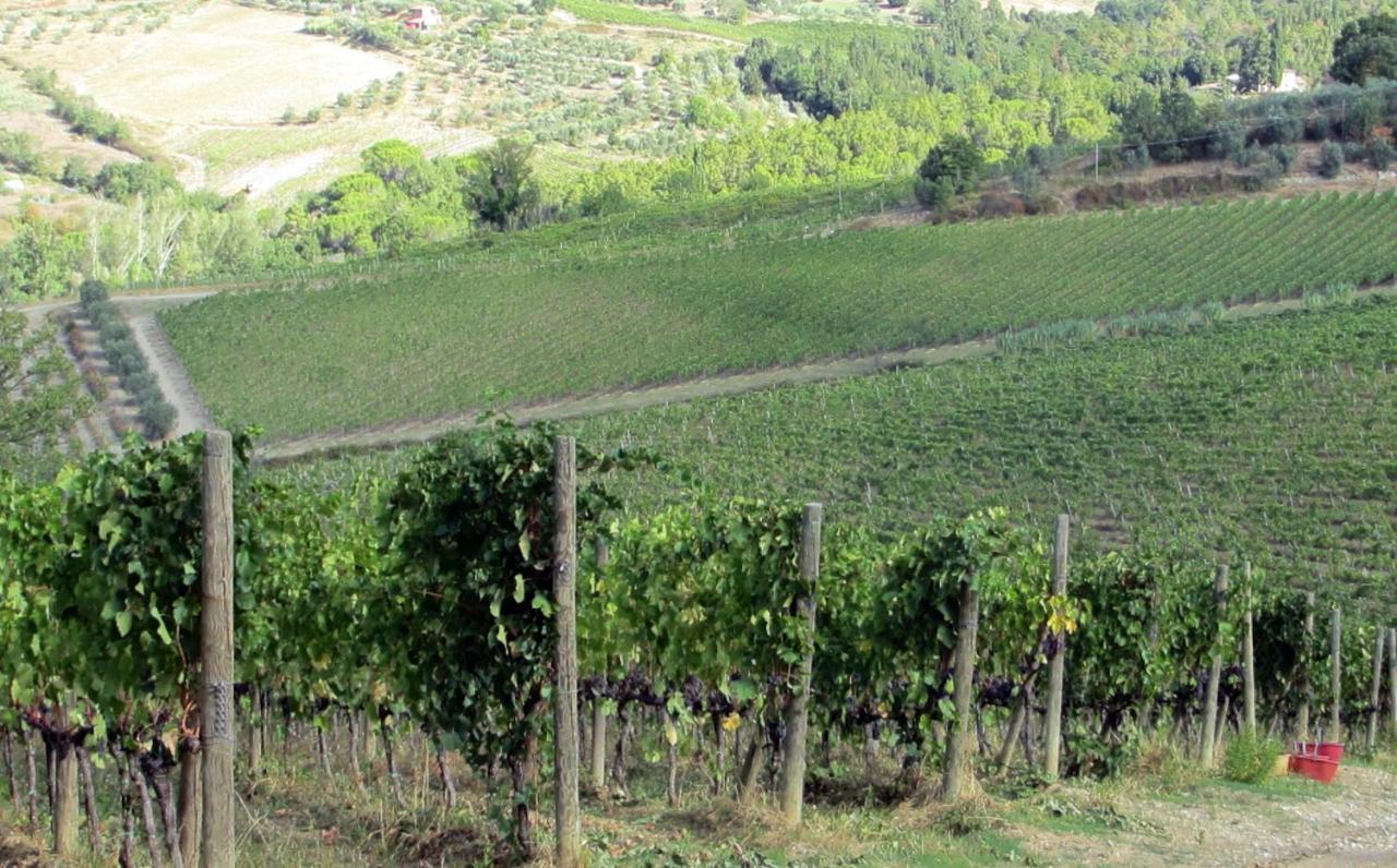Agriturismo Fattoria Santo Stefano Greve in Chianti Bagian luar foto